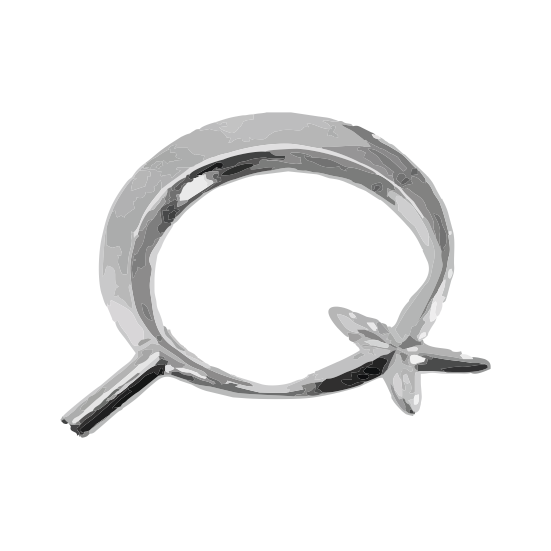 Türk Makam Bayrağı Simli + Telalı + Krom Direk